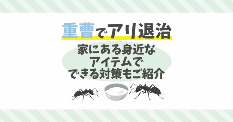 アリは重曹で退治することができる！身近なものでアリを駆除する方法