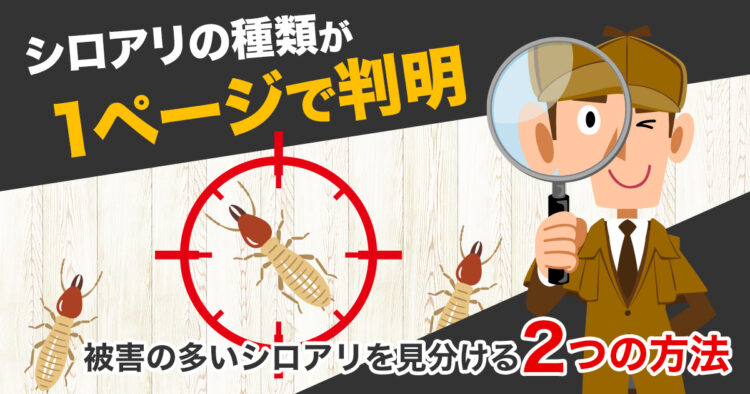 シロアリの種類・特徴・見分け方がまるわかり！日本に多い3種の生態