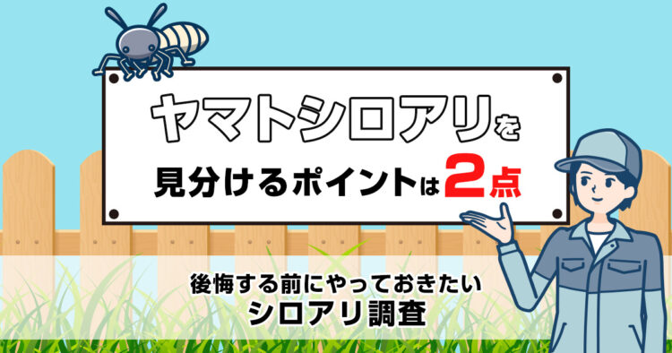 ヤマトシロアリは2箇所を見ればすぐ特定！後悔する前にやるべきシロアリ調査についても解説