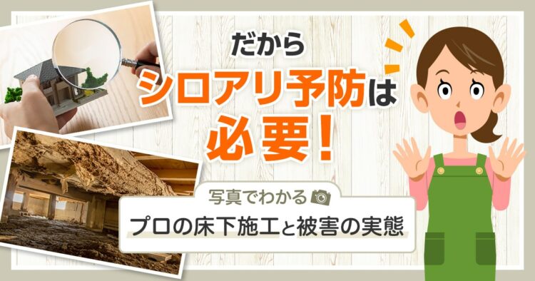見れば納得！シロアリ対策を5年ごとにおこなうべき理由と予防費用を抑えるコツ