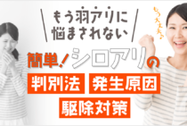 羽アリ大量発生の原因と手間なしスッキリ駆除方法｜外からの侵入も徹底排除！