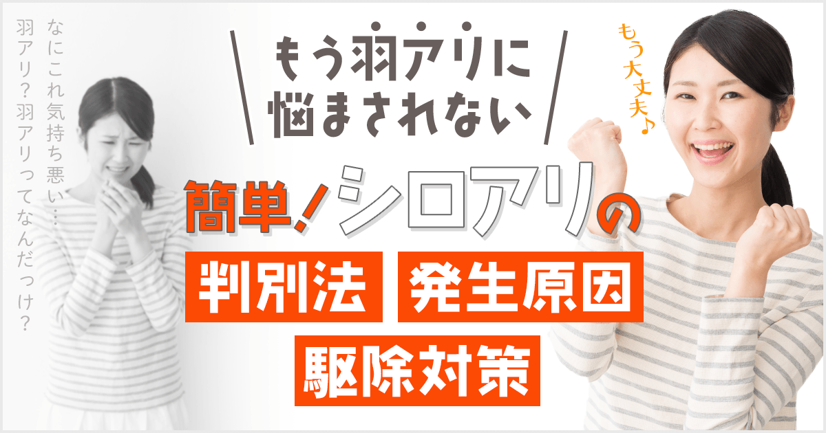 もう羽アリに悩まされない簡単！シロアリの判別法・発生原因・駆除対策