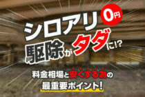 シロアリ駆除費用が【タダ】になる最重要ポイントと料金の相場