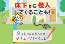 庭の穴はネズミが掘ったもの？ネズミの生態と対策方法を知ろう！