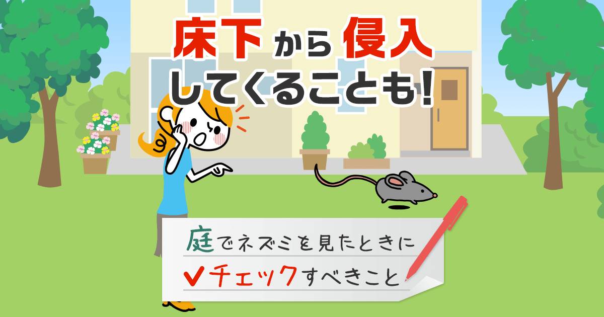 床下から侵入してくることも！庭でネズミを見たときにチェックすべきこと