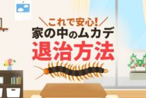【これでオサラバ！】家の中からムカデいなくなる方法・ムカデが出る家の原因とは