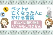 【亡くなった状況別】ペットが亡くなった時知人へかける言葉の文例集