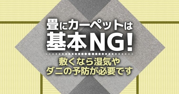 【相性最悪】畳の上にカーペットを敷きたい時はダニ、カビ対策しよう-