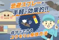 家庭でできるコウモリ駆除！自力で追い出して二度と住み着かせない方法