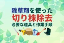 切り株を除去するなら除草剤で枯らす！もう放置しない切り株処理の手順とは