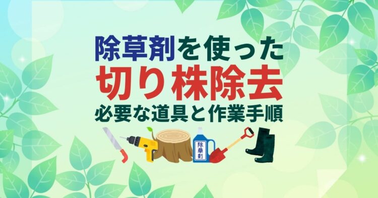 切り株を除去するなら除草剤で枯らす！もう放置しない切り株処理の手順とは