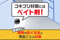 誰がやっても効果的なゴキブリ対策！市販品を使うコツから注意点まで解説