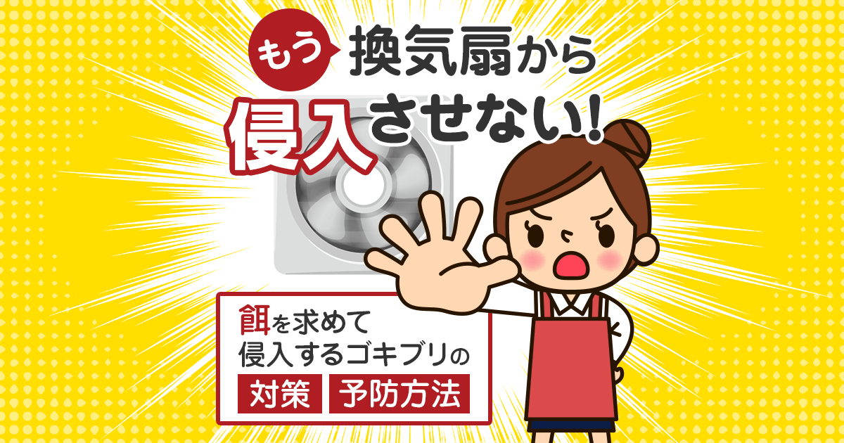 もう換気扇から侵入させない！餌を求めて侵入するゴキブリの対策 予防方法
