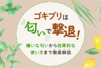 【ゴキブリが嫌いな匂い】香りを楽しみながら撃退する効果的な使い方