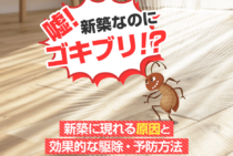 新築でもゴキブリは出る！原因＆ゴキブリ被害を最小限に抑える対策4つ