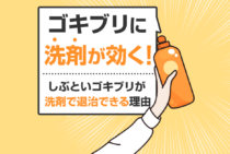 ゴキブリは洗剤で安全に退治できる！効果がある理由と退治の注意点