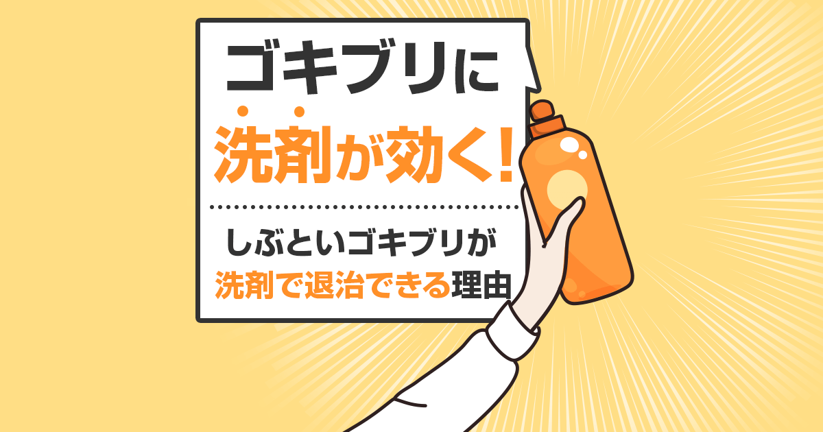 ゴキブリに洗剤が効く！しぶといゴキブリが洗剤で退治できる理由