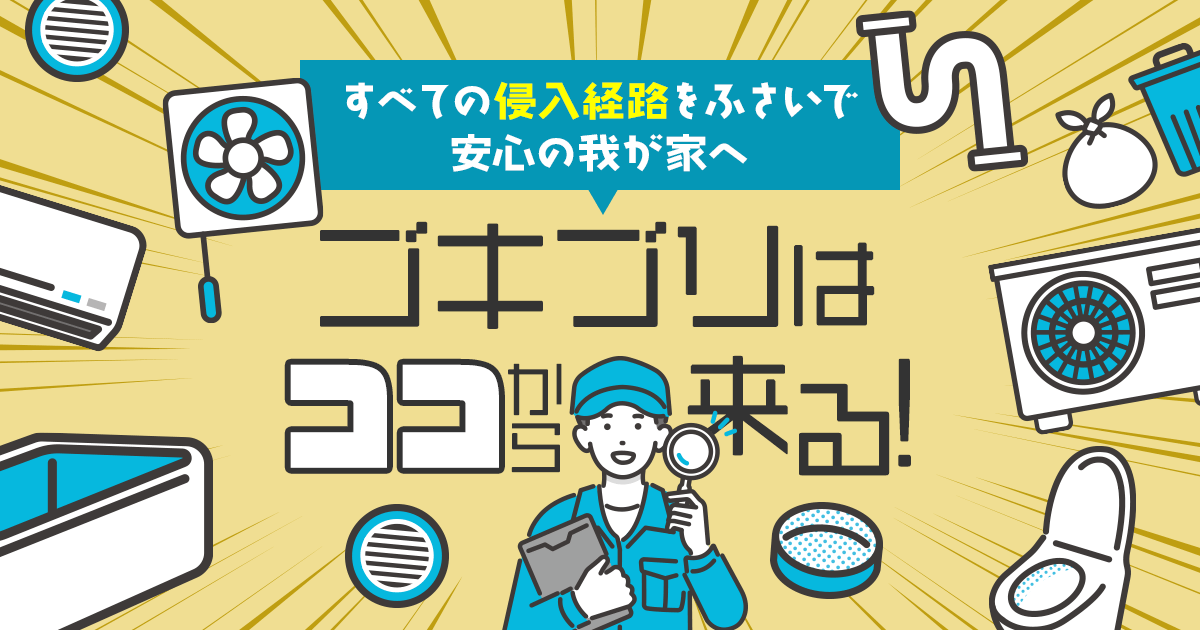 ゴキブリ　ここからくる