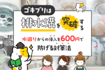 ゴキブリは排水溝から侵入する！たった600円でゴキブリを激減させる水回り対策