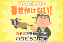 嫌がるものを使ってハクビシン対策！おすすめ忌避剤と効果的な撃退方法