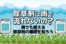 除草剤は雨の影響を受けるのか？雨の前後の除草剤の使用について