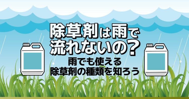 除草剤は雨で流れないの？雨でも使える除草剤の種類を知ろう