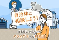 近づくと危険！アライグマを見つけたらすぐにやるべき対策、放置の危険性