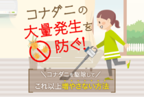 大量発生したコナダニをもう増やさない！簡単な駆除方法と対策を紹介