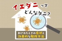イエダニ駆除でかゆみも不安も解消！特徴的な生態と駆除・予防解説