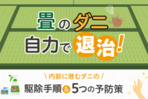 畳のダニは中まで届くスプレーで駆除！刺されないための5つの予防策