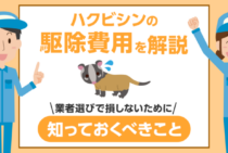 ハクビシンの駆除費用を安く抑えるコツ！業者への調査でわかった3つのポイント
