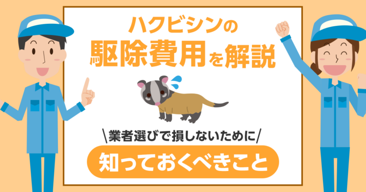 ハクビシンの駆除費用を解説
