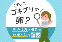 家によく出る四種のゴキブリの卵が今すぐわかる！見た目の特徴と正しい処分方法