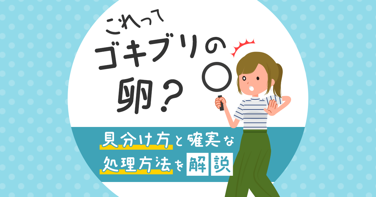 これってゴキブリの卵？見分け方と確実な処理方法を解説