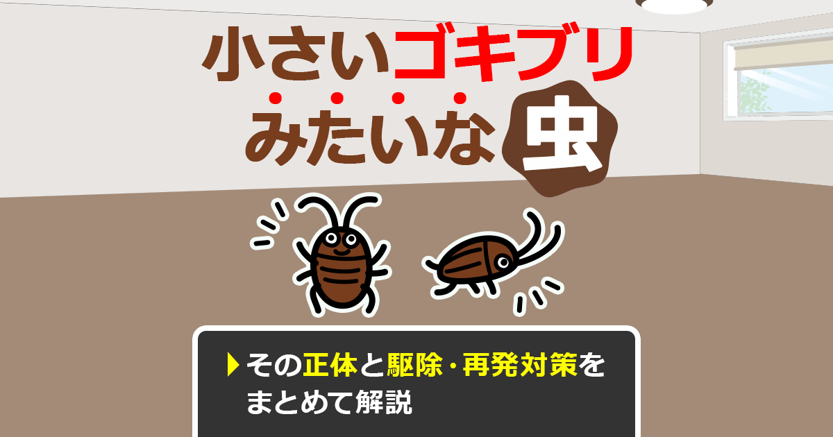 小さいゴキブリみたいな虫の駆除方法