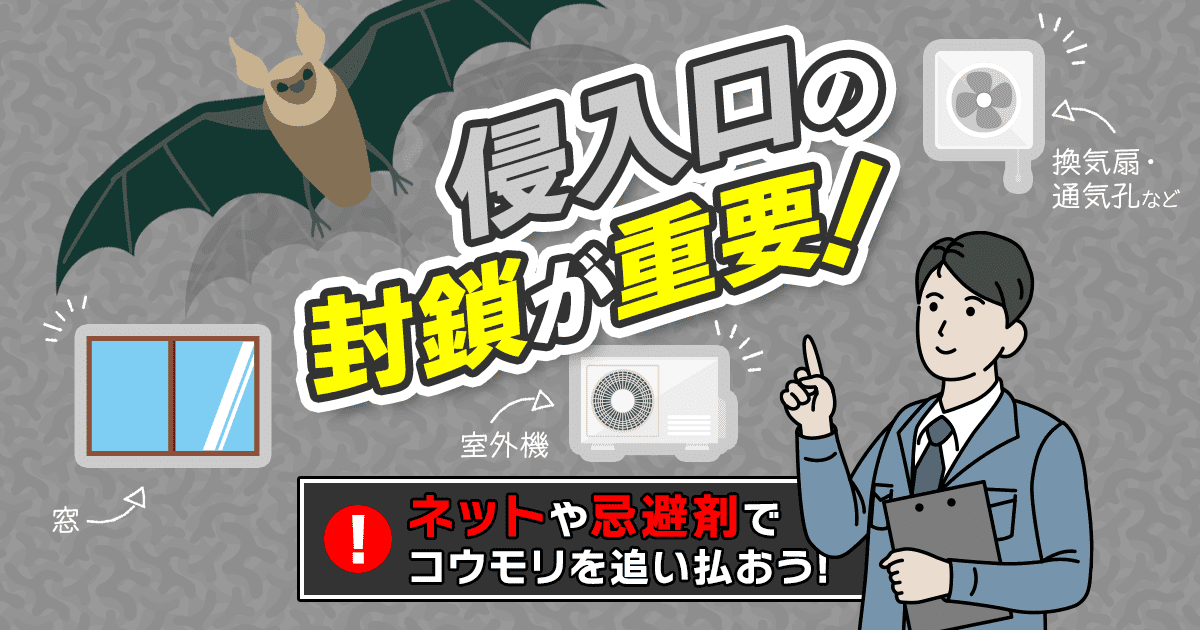 侵入口の封鎖が重要！ネットや忌避剤で蝙蝠を追い払おう！