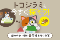 トコジラミがどこにいるかひと目でわかる！おもな潜伏場所と発生原因