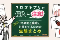 クロゴキブリの生態を知って正しく駆除を！確実な効果が期待できる対処法