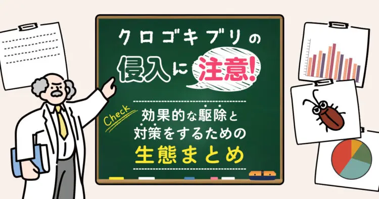クロゴキブリの侵入に注意！効果的な駆除と対策をするための生態まとめ