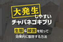 チャバネゴキブリの生態を知ってしっかり撃退！簡単・効果的な駆除方法
