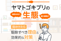 ヤマトゴキブリの生態がわかる！ベストな対処をするための必須知識
