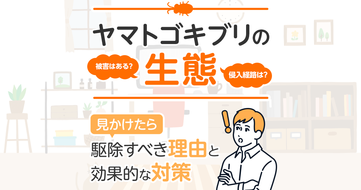 ヤマトゴキブリの生態見かけたら駆除すべき理由と効果的な対策