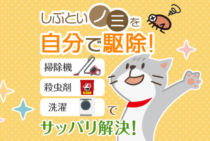 ノミ駆除を成功に導く！人気薬剤で布団も畳もお部屋丸ごと駆除する方法