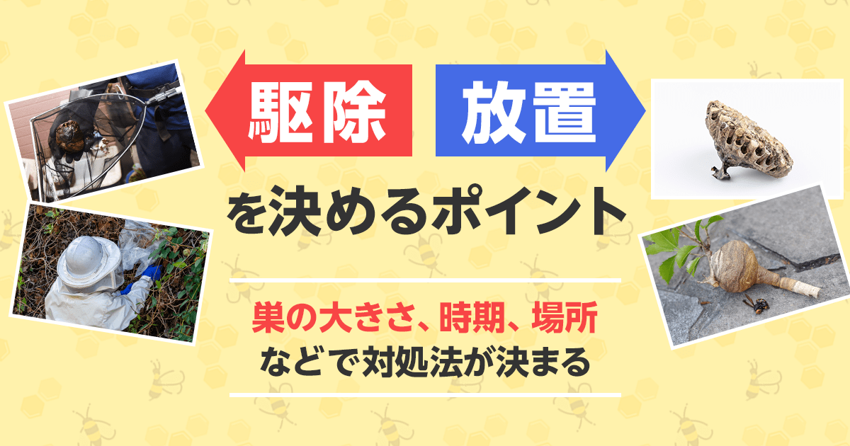放置駆除を決めるポイント巣の大きさ、時間、場所などで対処法が決まる