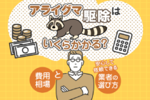 アライグマ駆除の料金は相場より安くできる！リアルな費用と業者選びのコツ