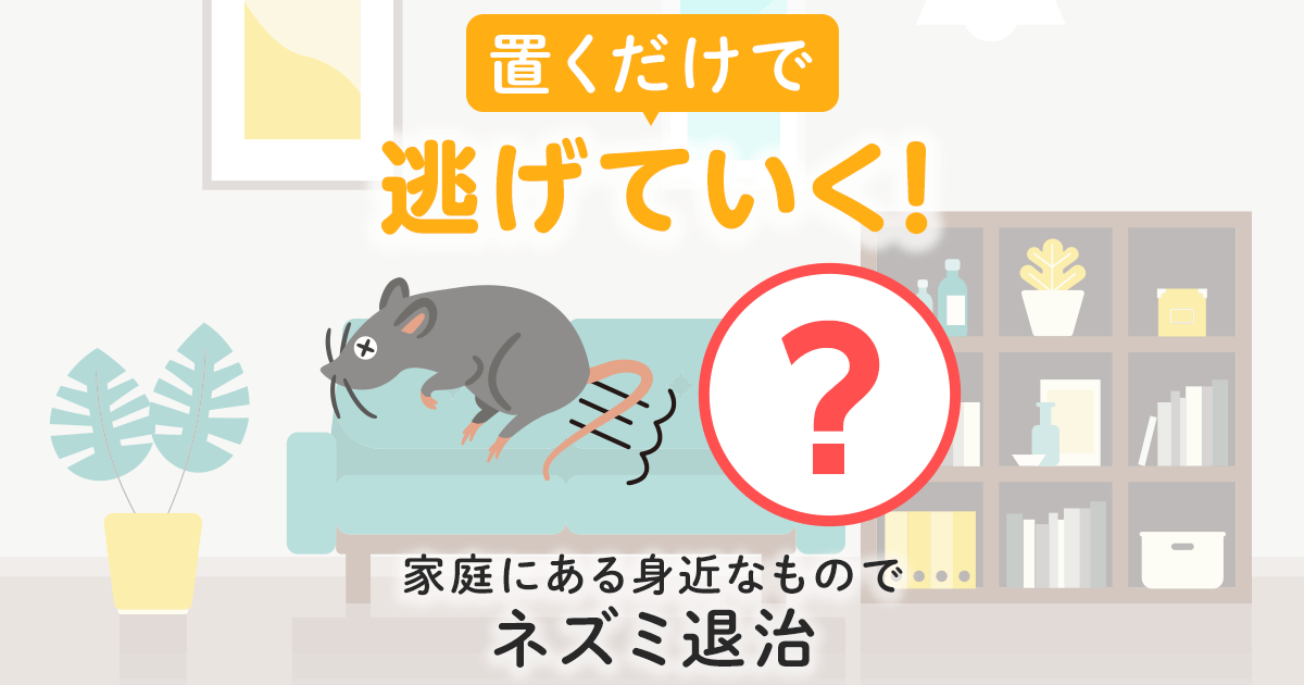 置くだけで逃げていく！家庭にある身近なものでネズミ退治