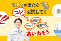 ネズミが自然にいなくなる方法と住み着きにくい環境を作るコツ