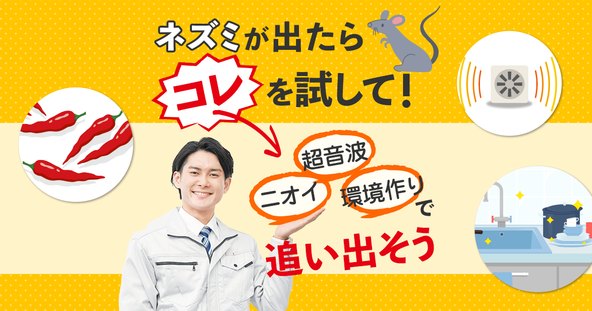 ネズミが出たらコレを試して！超音波　匂い　環境づくりで追い出そう