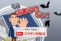 コウモリを寄せ付けない方法！超音波やグッズを使った対策について解説