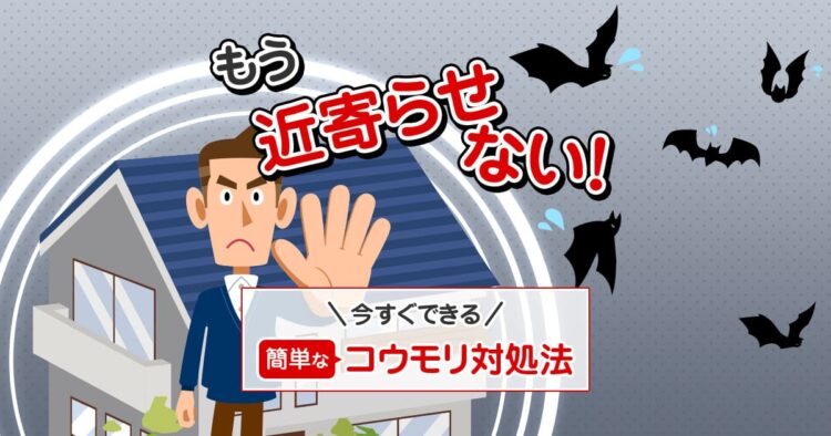 もう近寄らせない！今すぐできる簡単なコウモリ対処法